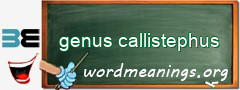 WordMeaning blackboard for genus callistephus
